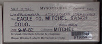 Image Associated With the Occurence